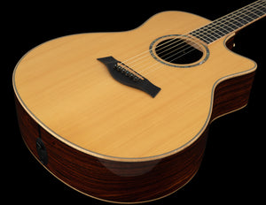 Taylor GS Custom