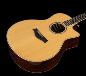 Taylor GS Custom