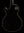 Gibson Peter Frampton 