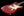 Kithara Harland - Ruby Red Sparkle