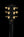 Gibson Custom Shop Les Paul Custom