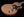 Fano SP6 Oltre - Copper