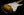 D'Pergo Vintage Classic owned by Walter Becker