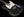 Nash T-63 Double Bound Black - Humbucker