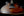 Suhr Modern Plus, Bengal Burst, HSH, Pau Ferro