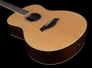 Taylor GS8