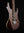 Suhr Modern Plus, Bengal Burst, HSH, Pau Ferro