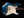 Shabat Lynx HSS - Lake Placid Blue
