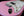 LsL Saticoy One HSS - Ice Pink