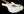 Xotic California Classic XSCPRO-2 Olympic White