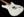 Xotic California Classic XSCPRO-2 Olympic White