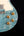 Patrick James Eggle Macon Special - Island Blue - Master Grade Top