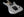 Washburn N4 Custom owned by Nuno Bettencourt