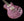 Patrick James Eggle Macon Single Cut - Purple - Master Grade Top