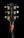 Gibson Custom Shop 2015 Peter Frampton 