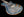 Knaggs Kenai Winter Solstice
