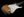 Xotic California Classic XSC-1 - 2 Tone Burst