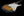 Xotic California Classic XSC-1 - 2 Tone Burst