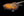 Nik Huber Piet - 2 Tone Burst