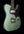 Shabat Lion Standard - Ariel Green