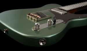 Shabat Lion Standard - Ariel Green
