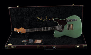 Shabat Lion Standard - Ariel Green