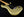 Fender 25th Anniversary Stratocaster - 1979