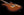 Xotique XTC Tiger Eye Flame Maple Top