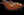 Xotique XTC Tiger Eye Flame Maple Top