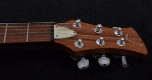 Soultool Laguz "The Special" with Bigsby - NAMM special