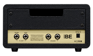 Friedman BE-Mini 30-watt Head