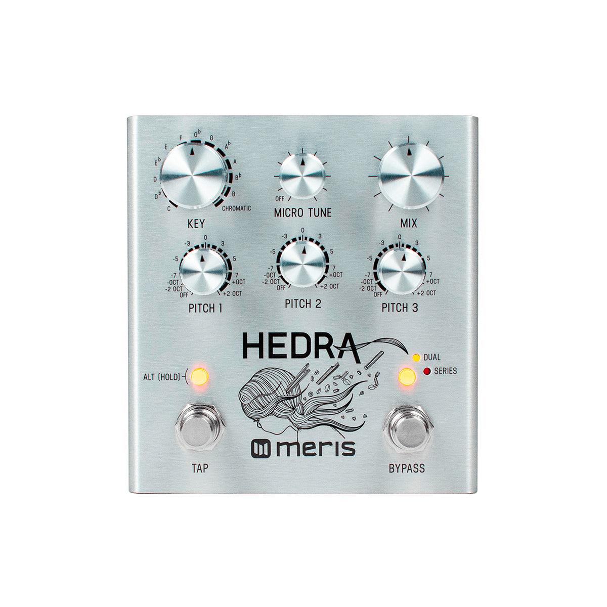 定番2024meris Hedra ギター