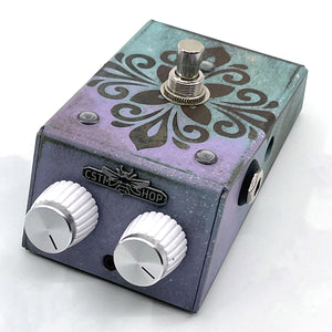 Beetronics Vezzpa Custom Shop