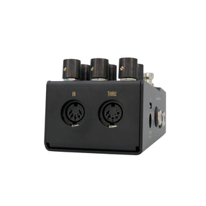 Walrus Audio MAKO Series: R1 High-Fidelity Stereo Reverb