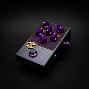 Beetronics Swarm Purple / Gray - Angel City Guitars Limited Run