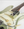 Xotic California Classic XSC-1 Lime Gold Light Aged NAMM 2020